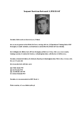A preview of a PDF biography for Borkowski, Stanislaw